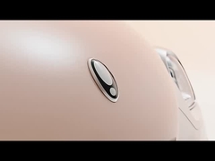 อีวี มินิ